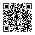 To view this 2020 Chevrolet Express Wasilla  from Magnum Motors | Soldotna and Wasilla, please scan this QR code with your smartphone or tablet to view the mobile version of this page.