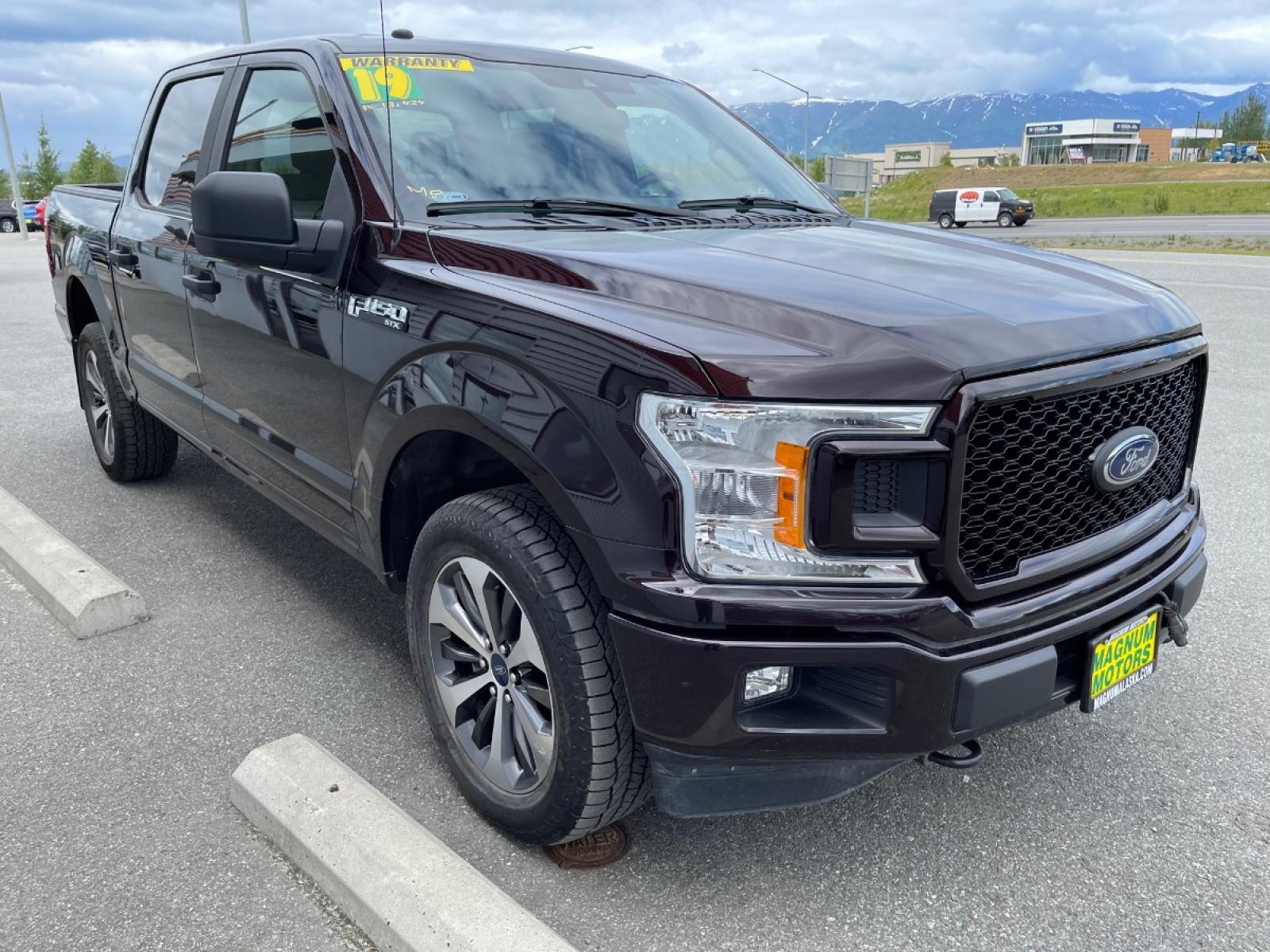 2019 Plum /Gray Ford F-150 XLT SuperCrew 4WD (1FTEW1E48KK) with an 3.5L V6 TURBO engine, 6A transmission, located at 44152 Sterling Highway, Soldotna, 99669, (907) 262-5555, 60.484917, -151.062408 - Photo #6