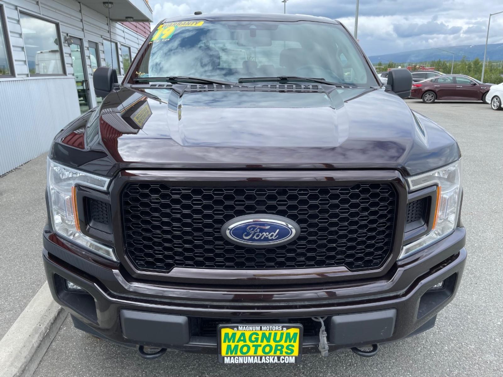 2019 Plum /Gray Ford F-150 XLT SuperCrew 4WD (1FTEW1E48KK) with an 3.5L V6 TURBO engine, 6A transmission, located at 44152 Sterling Highway, Soldotna, 99669, (907) 262-5555, 60.484917, -151.062408 - Photo #7